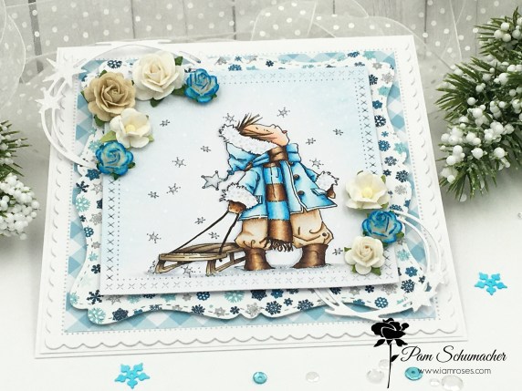 Catching Snowflakes2